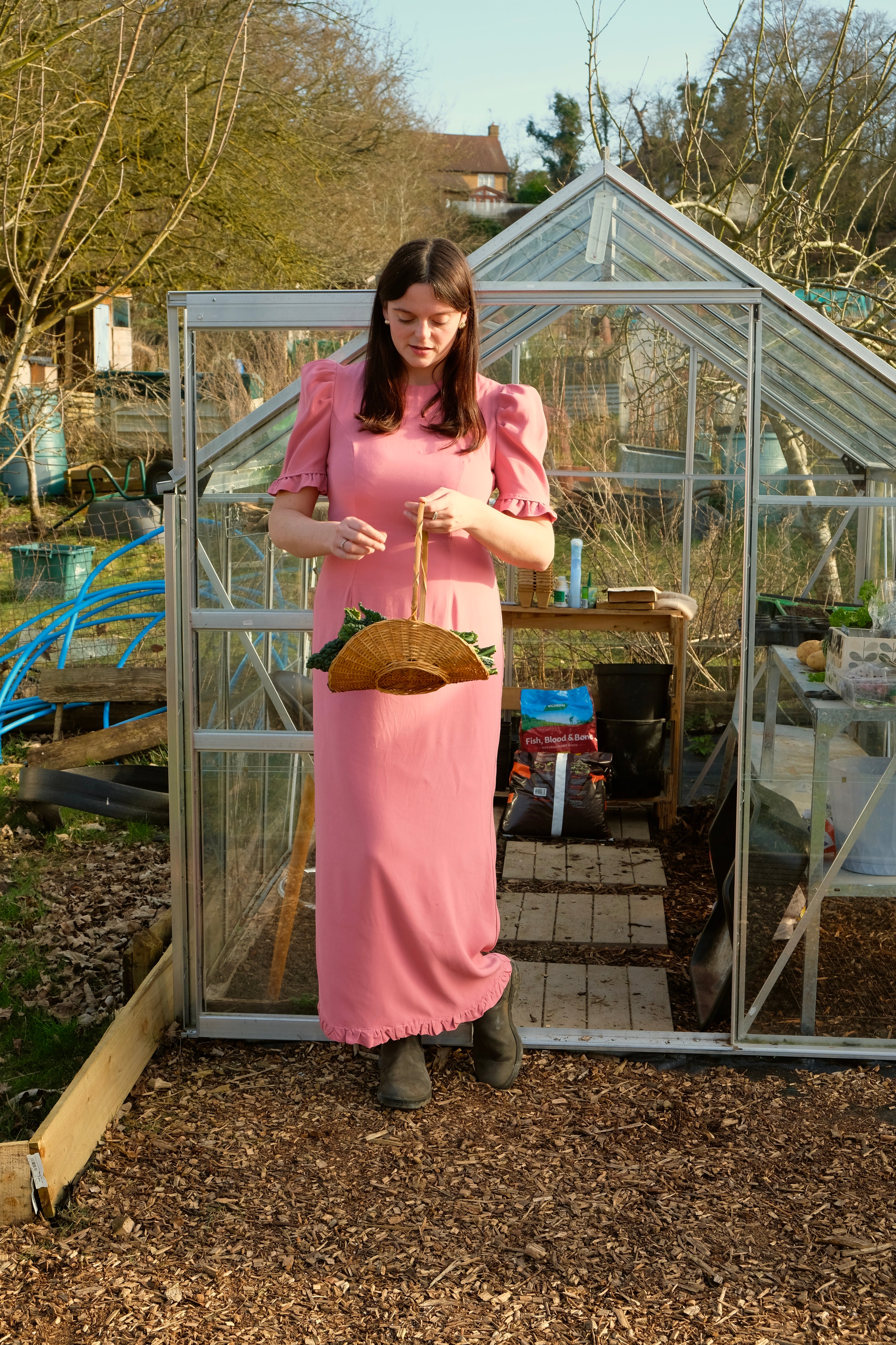 The Falcus Dress Pink